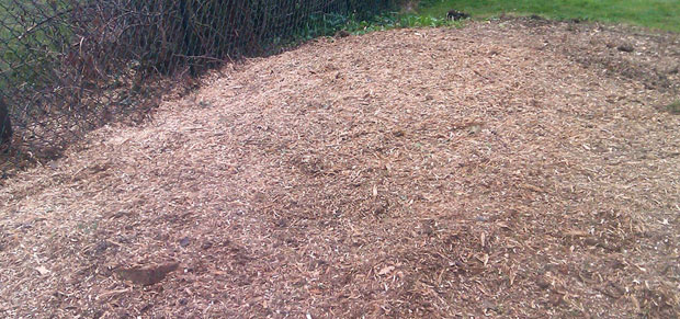 Flat area covered in wood chips after stump grinding